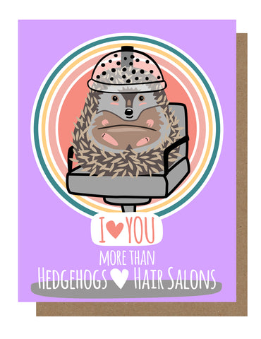 Image of a hedgehog in a hair drying chair on a purple background. Text reads “I love you more than hedgehogs love hair salons”